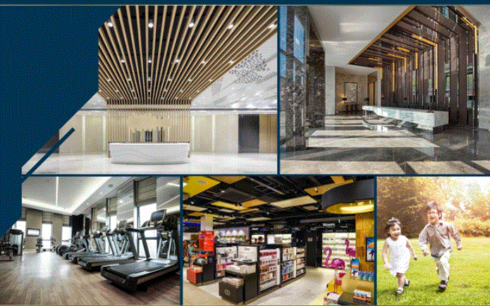 MD Rent House Tân Mỹ Quận 72